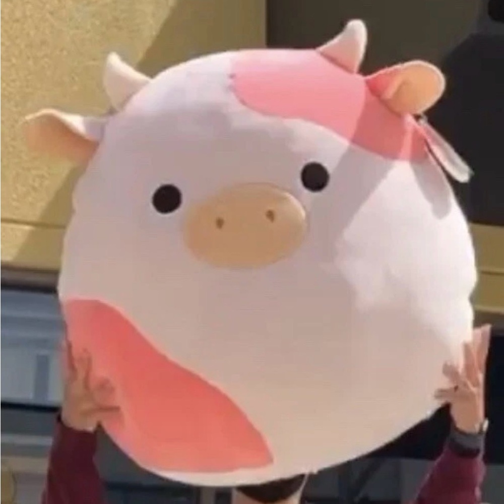 Reshma Squishmallow 24”